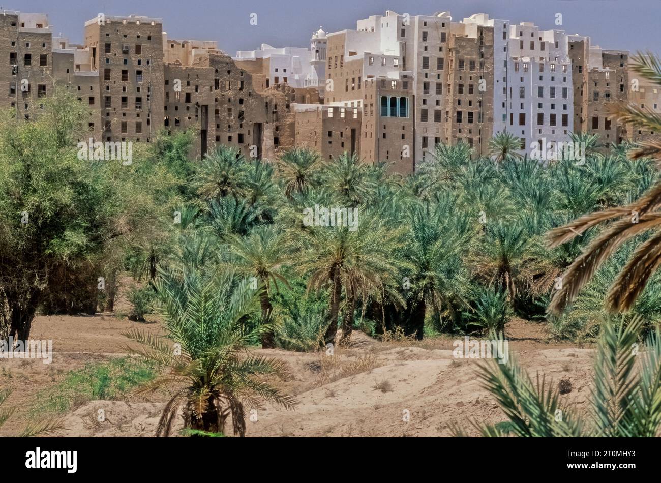 Shibam Hadramawt est une ville dans Yemen. Avec environ 7 000 habitants, il est le siège du district de Shibam dans le gouvernorat de Hadhramaut. Banque D'Images