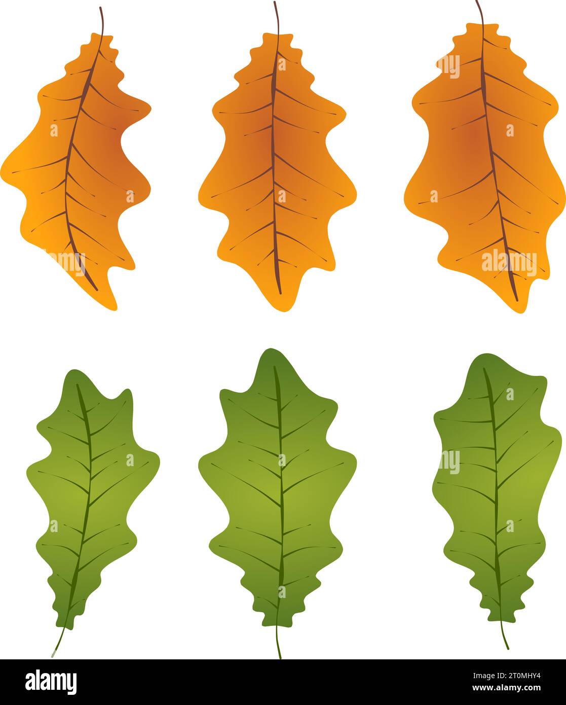 Graphique illustré feuilles de chêne d'automne feuillage tombé graphique illustré couleurs vert orange Illustration de Vecteur
