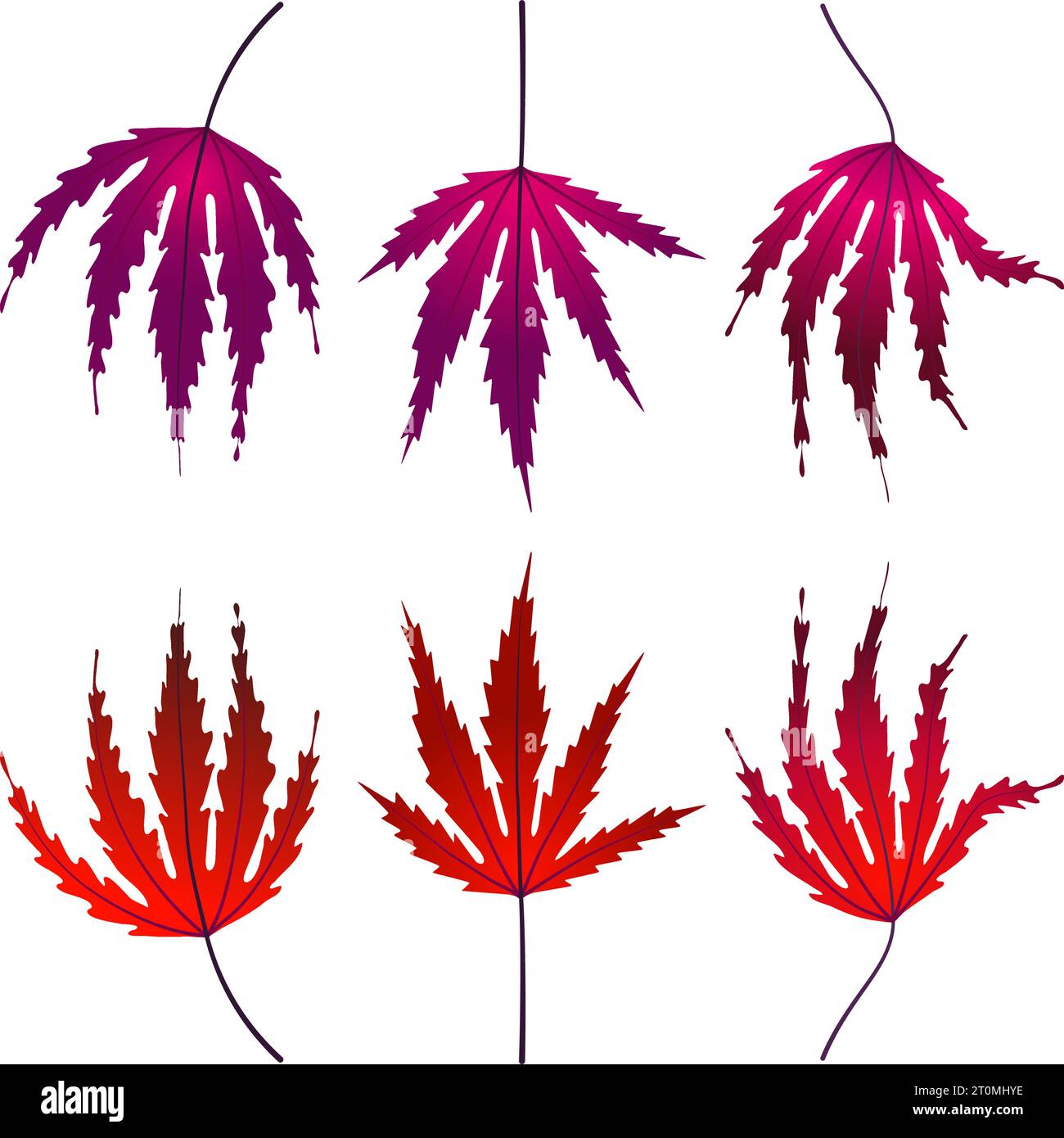 Graphique illustré automne Canadian Maple Leaves Fallen graphique illustré couleurs violet rouge Illustration de Vecteur
