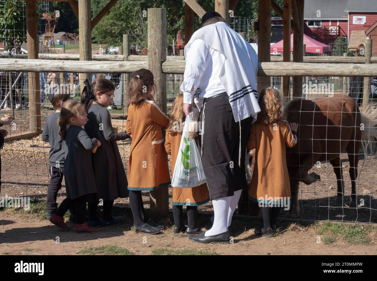 Pendant Succos où il est mandaté pour s'amuser, un homme hasidique et plusieurs enfants nourrissent les animaux à West Maple Farm à Mosey, New York. Banque D'Images