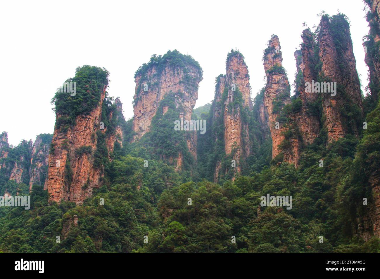 Plongez-vous dans la beauté époustouflante des montagnes chinoises ressemblant à l'Avatar, un Royaume majestueux de sommets époustouflants et de la grandeur de la nature Banque D'Images