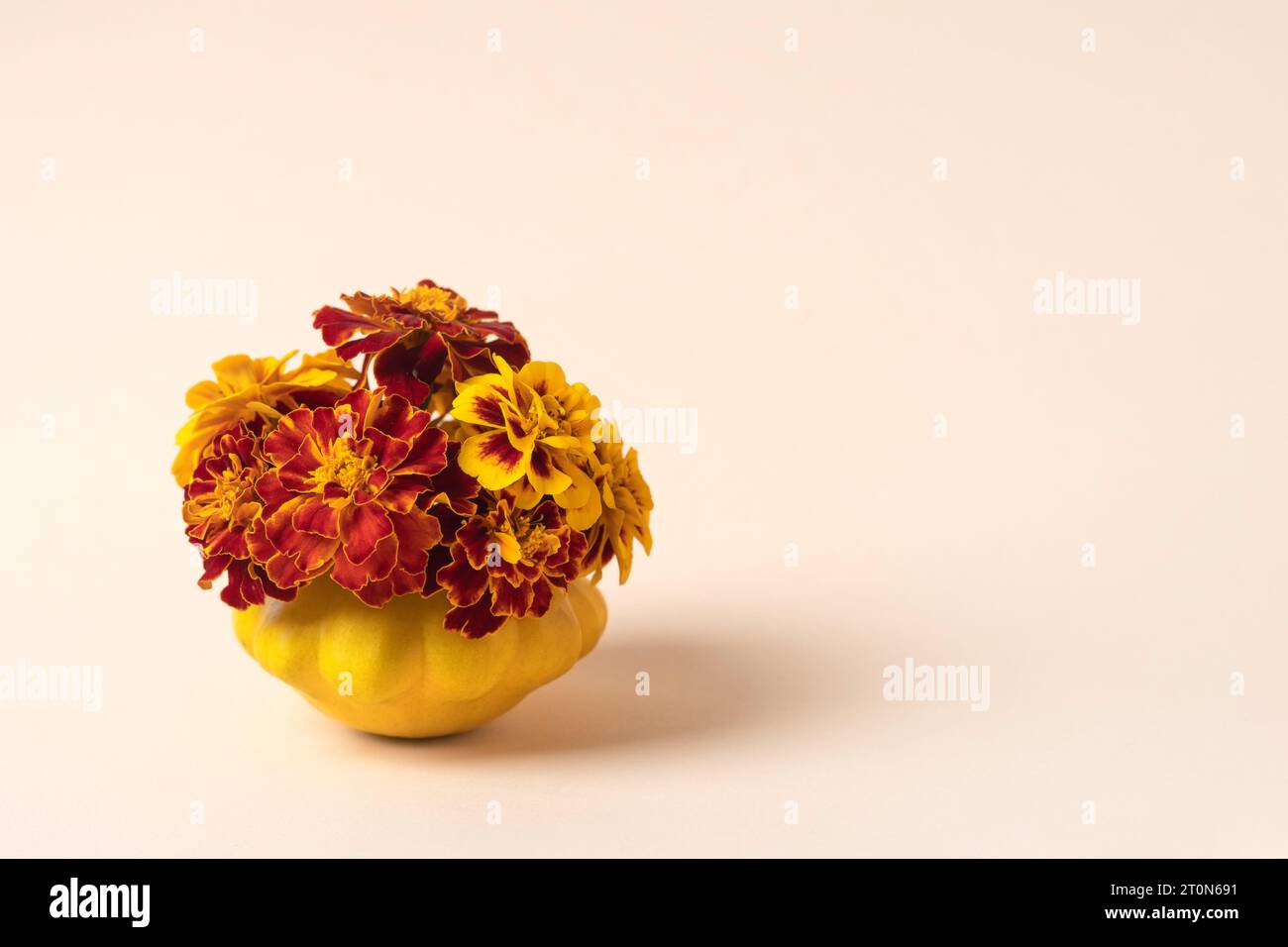 Citrouille orange avec fleurs de souci pour Thanksgiving ou Halloween. Composition de citrouilles oranges. Halloween, design, automne. Concept nature Banque D'Images