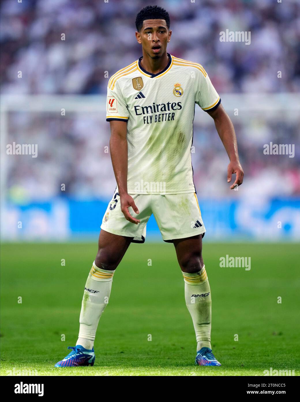 Jude Bellingham du Real Madrid CF lors du match de Liga entre le Real Madrid et le CA Osasuna a joué au stade Santiago Bernabeu le 7 octobre 2023 à Madrid, Espagne. (Photo Cesar Cebolla / PRESSINPHOTO) Banque D'Images