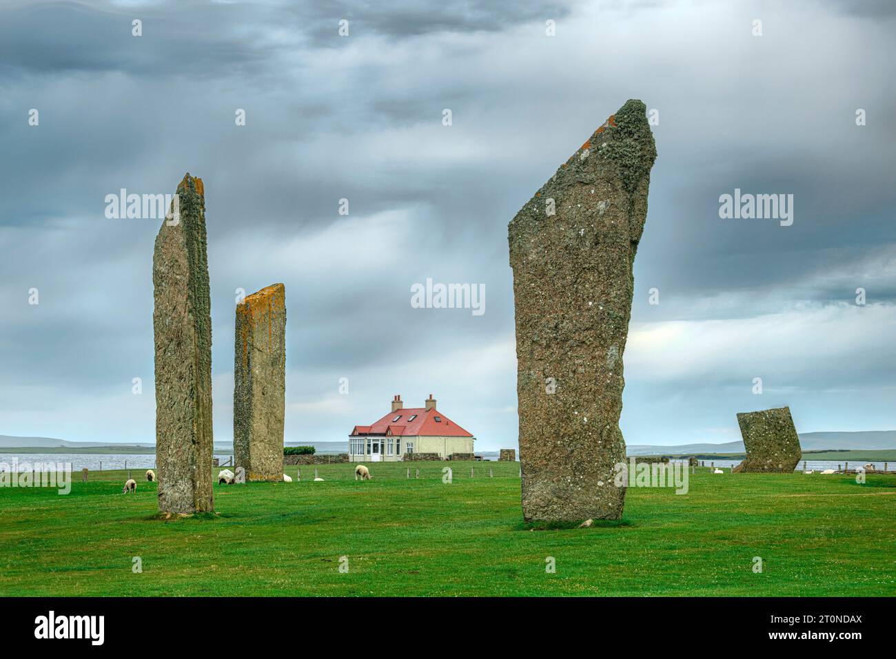 Les pierres de Stenness sont les restes d'un grand cercle de pierres sur un ancien site cérémoniel dans les Orcades, en Écosse. Banque D'Images
