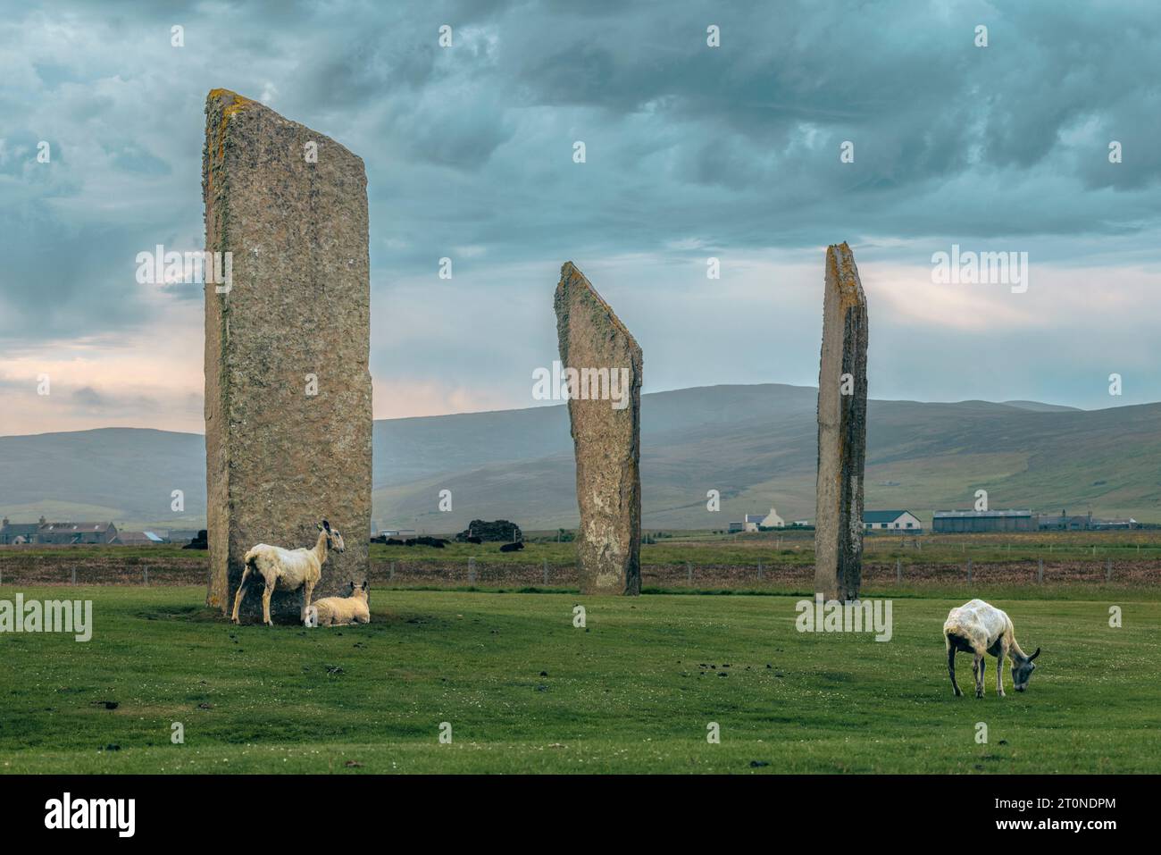 Les pierres de Stenness sont les restes d'un grand cercle de pierres sur un ancien site cérémoniel dans les Orcades, en Écosse. Banque D'Images