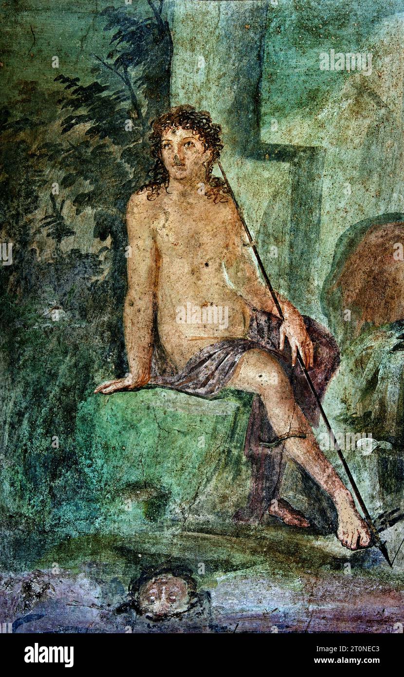 Narcisse dans la fontaine. Décoration columbarium de la Maison de Loreio Tiburtino (Octavius Quartio). Fresque Pompéi Roman City est situé près de Naples dans la région Campanie en Italie. Pompéi a été enterré sous 4-6 m de cendres volcaniques et de ponce lors de l'éruption du Vésuve en 79. Italie Banque D'Images Narcisse dans la fontaine. Décoration columbarium de la Maison de Loreio Tiburtino (Octavius Quartio). Fresque Pompéi Roman City est situé près de Naples dans la région Campanie en Italie. Pompéi a été enterré sous 4-6 m de cendres volcaniques et de ponce lors de l'éruption du Vésuve en 79. Italie Banque D'Images