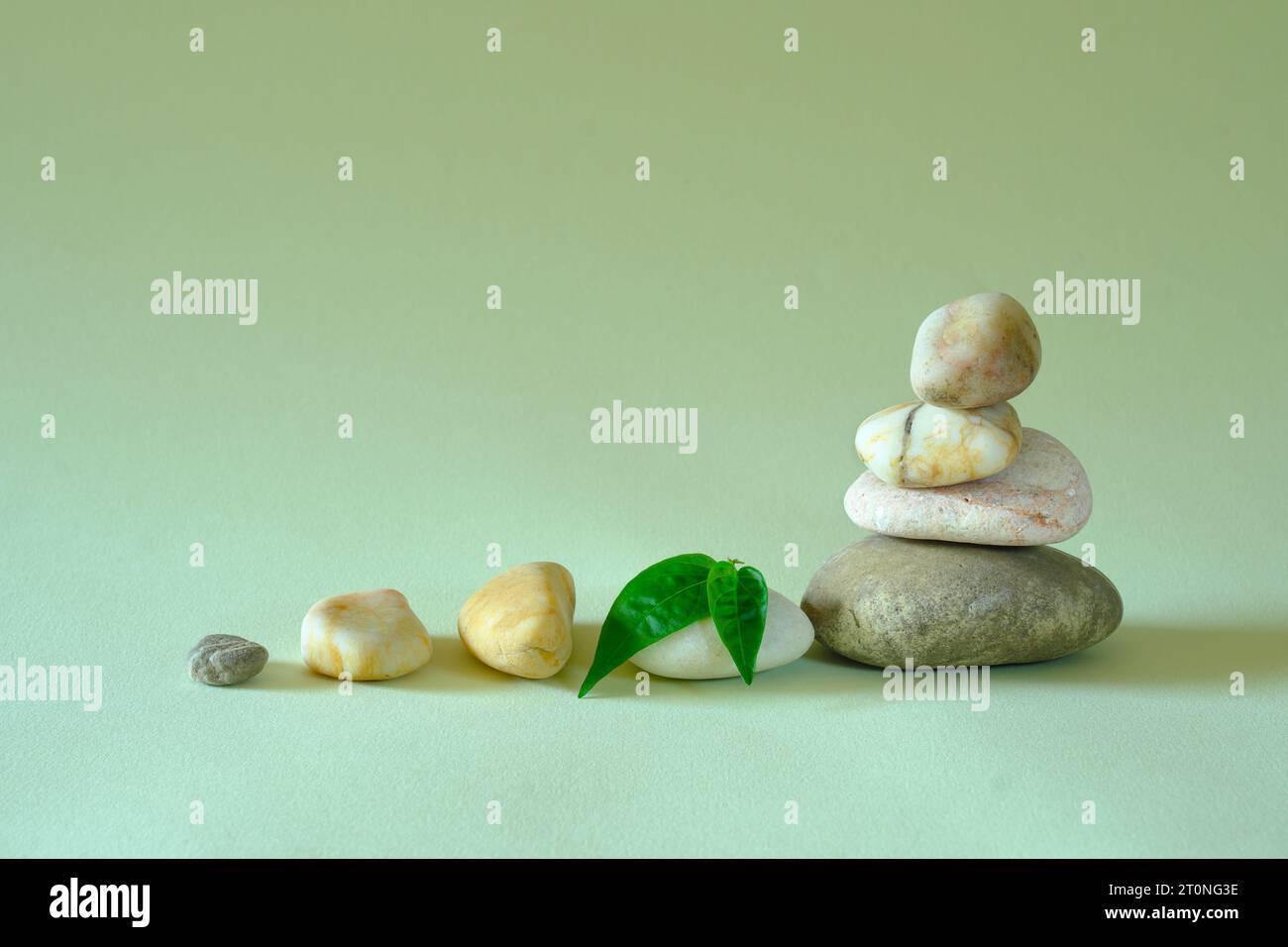 pierres spa avec feuille verte sur fond vert, méditation, harmonie, yoga, concept de bien-être, espace de copie gratuit Banque D'Images