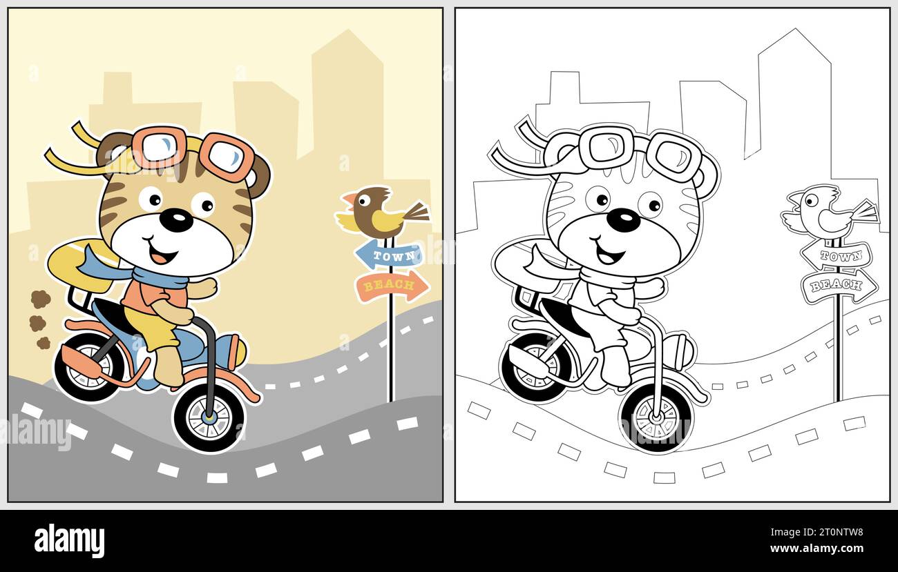 vecteur de dessin animé de moto drôle de cheval de chat avec un petit oiseau sur le panneau de route, le livre de coloriage ou la page Illustration de Vecteur