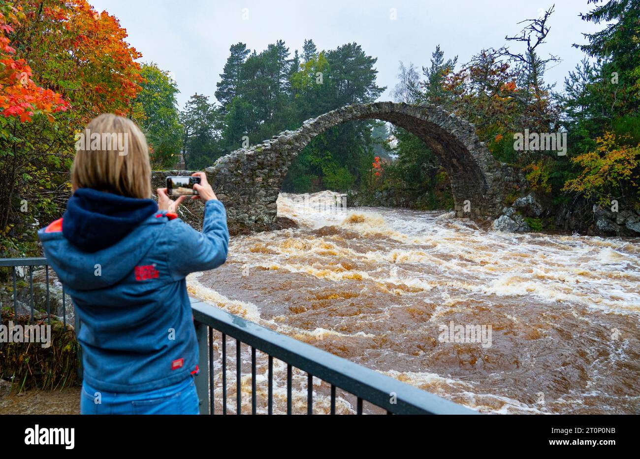 Carrbridge, Écosse, Royaume-Uni. 8 octobre 2023. La rivière Dulnain a déferlé après une journée et une nuit de fortes pluies qui coule sous le Old Pack Horse Bridge à Carrbridge, dans les Highlands écossais. Iain Masterton/Alamy Live News Banque D'Images