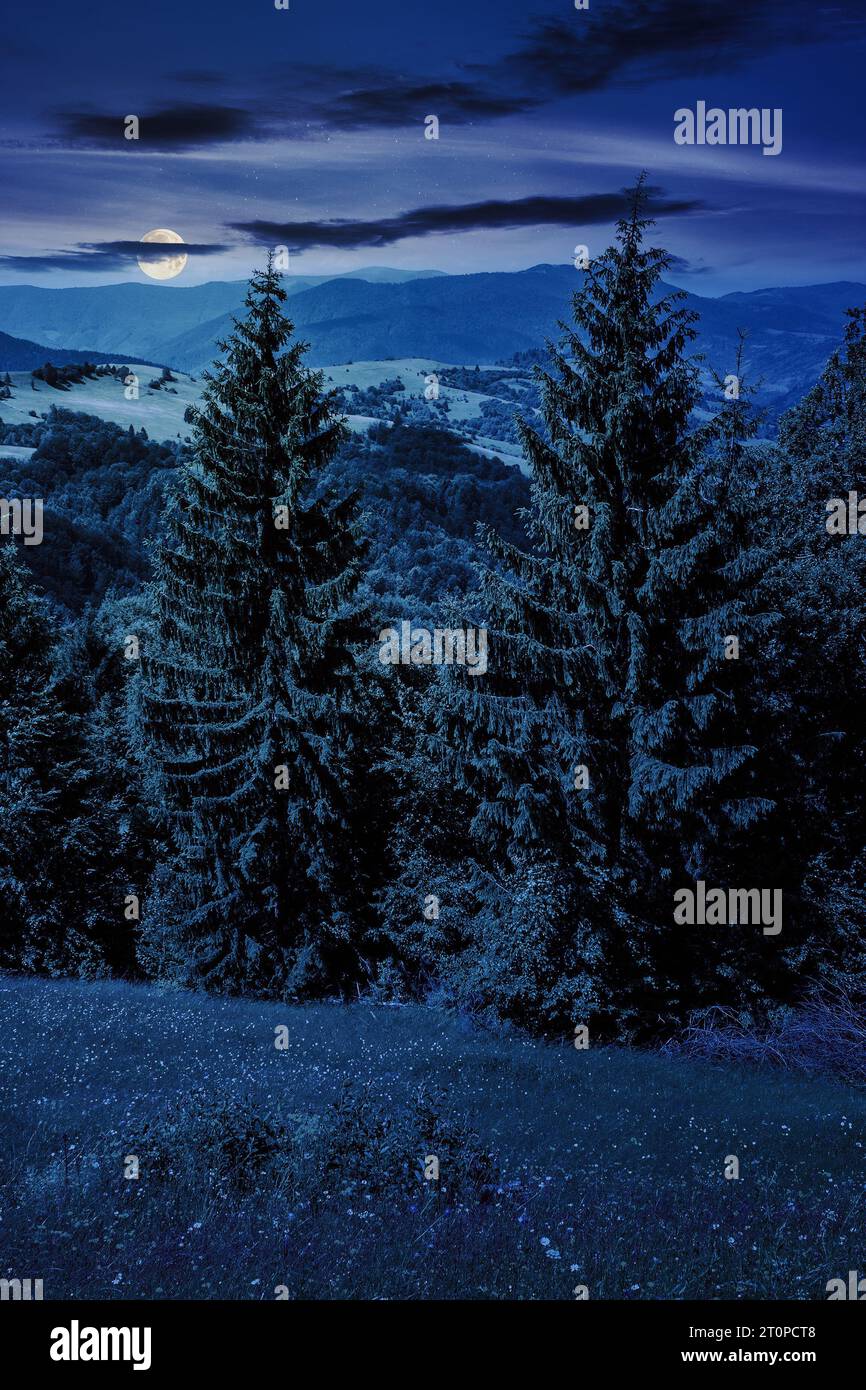 pente de la chaîne de montagnes avec forêt de conifères la nuit. beau paysage de campagne dans la lumière de la pleine lune Banque D'Images