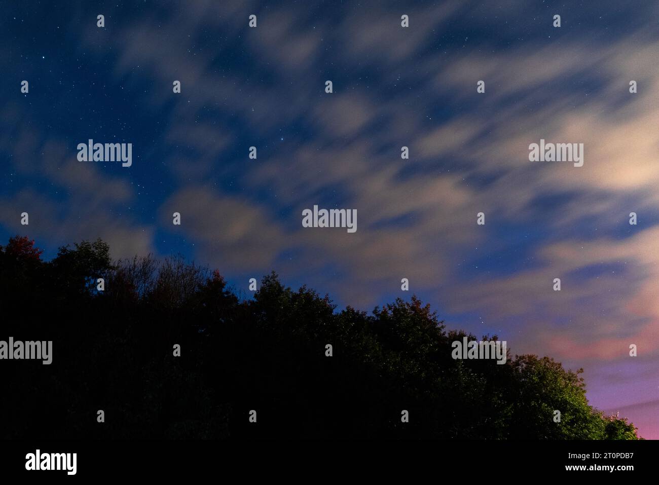 chute de perséides, étoiles la nuit sur fond de nuages Banque D'Images