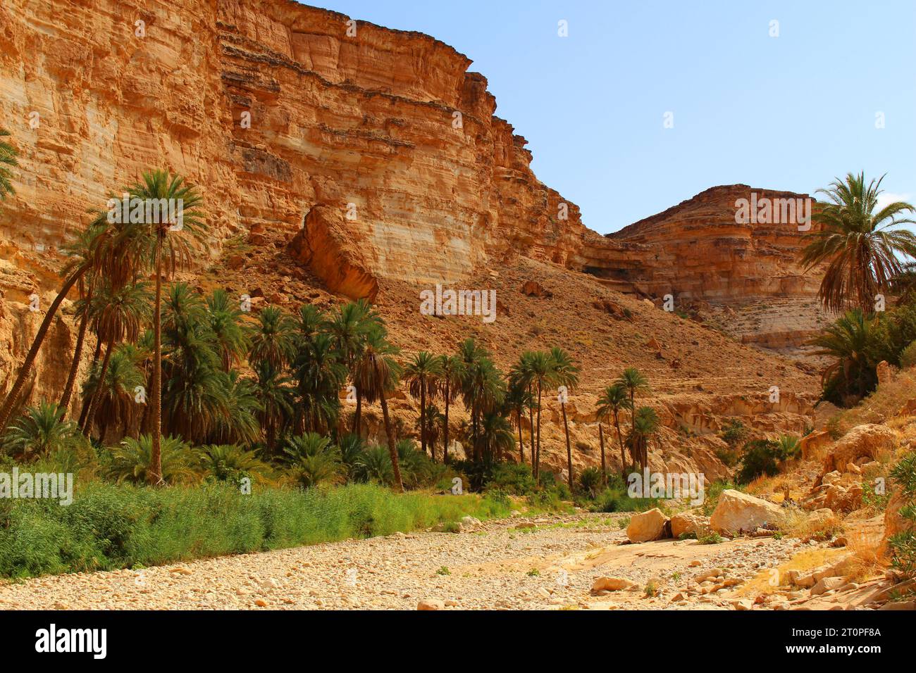 Canyon de Ghoufi, montagnes d'Aurès, Algérie Banque D'Images