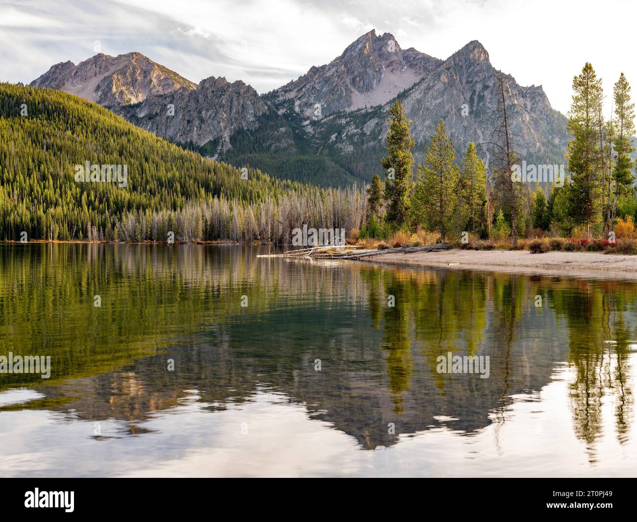 Forêt de l'Idaho avec lac et reflet de montagne dans les Sawtooths Banque D'Images