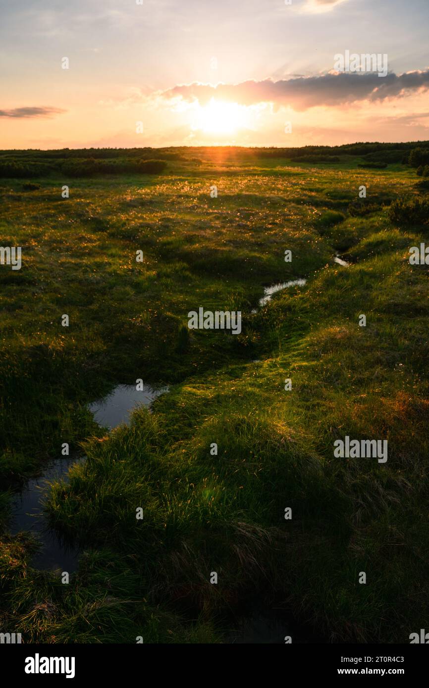 Vue panoramique de beau coucher de soleil ou suinrise au-dessus des marais, de l'herbe et du petit ruisseau à Krkonose, république tchèque Banque D'Images