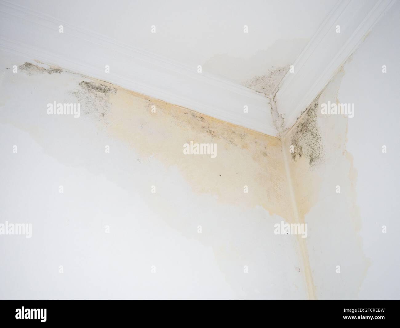 Fuite sur plafond blanc. Les tuyaux d'égout sont défectueux. Concept de fuites de tuyaux dans une maison. Les voisins ont des toilettes défectueuses. Le problème du logement public. Co Banque D'Images