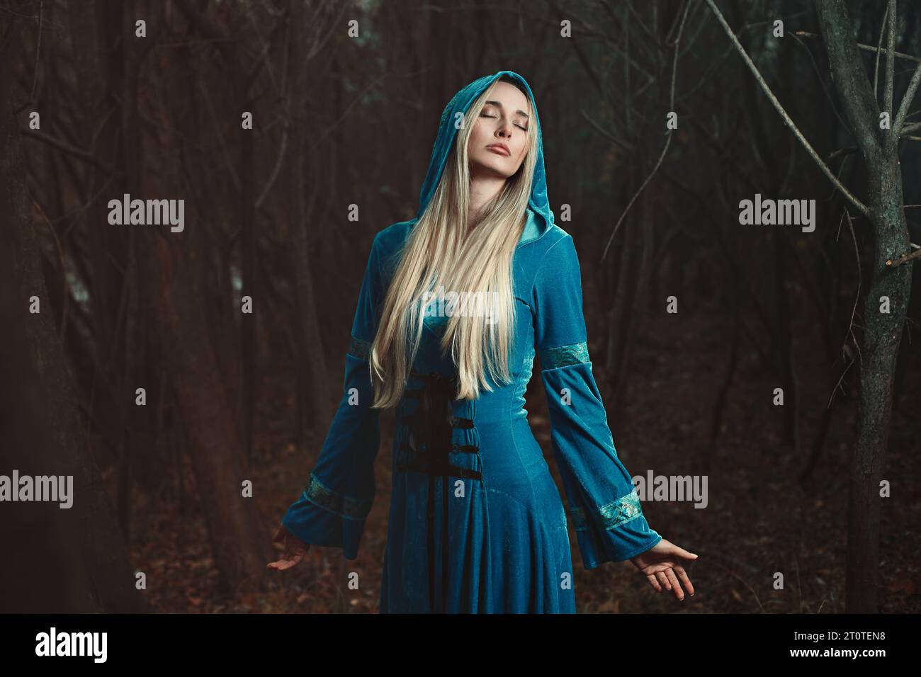 Belle femme de fée dans les bois d'hiver Banque D'Images