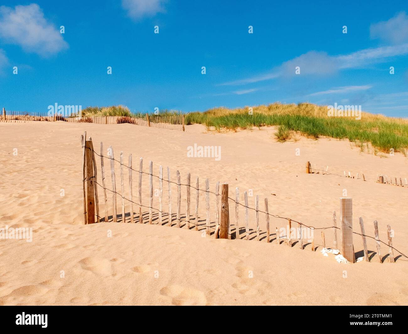 Les dunes de sable, une défense marine naturelle. Banque D'Images