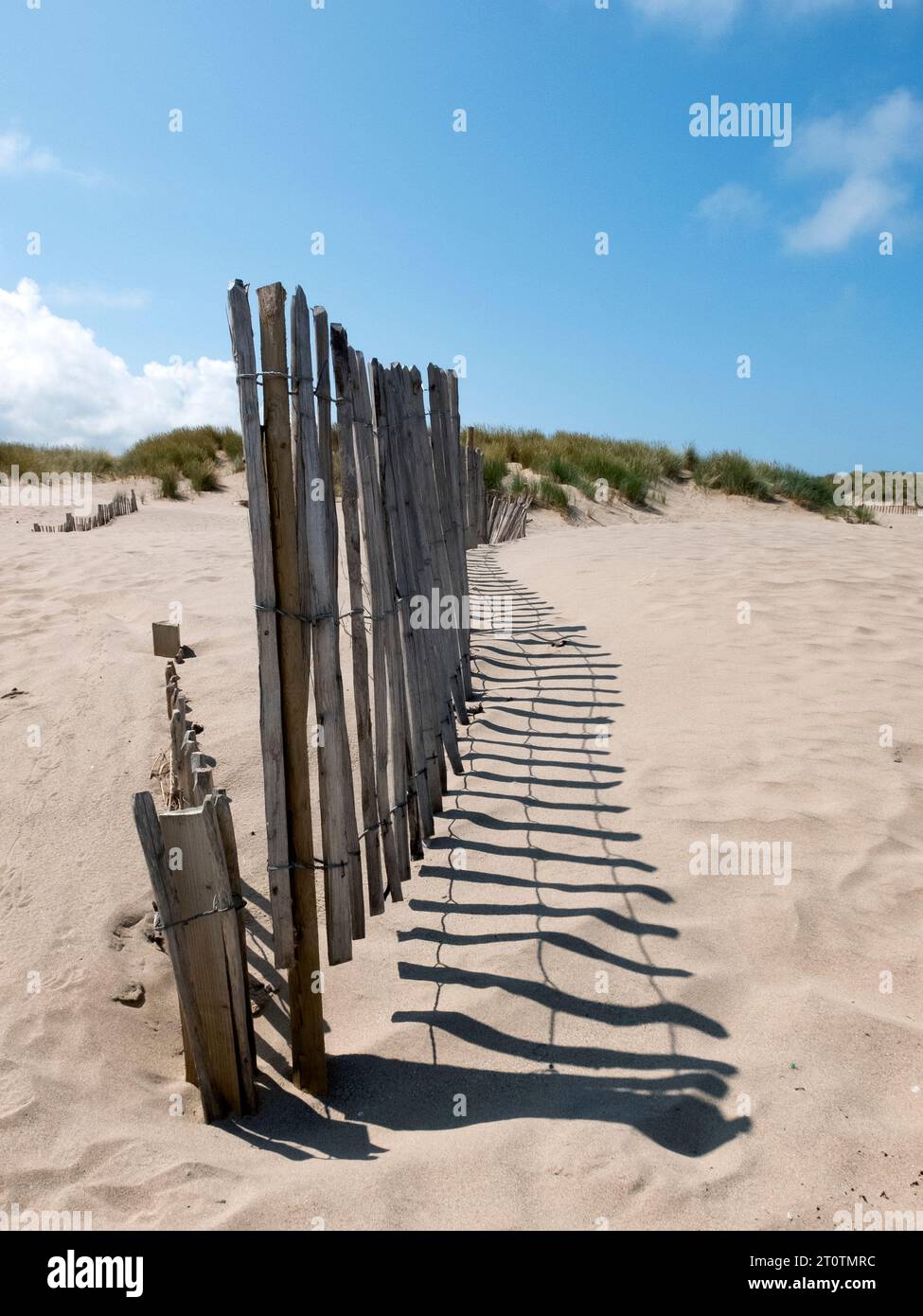 Les dunes de sable, une défense marine naturelle. Banque D'Images