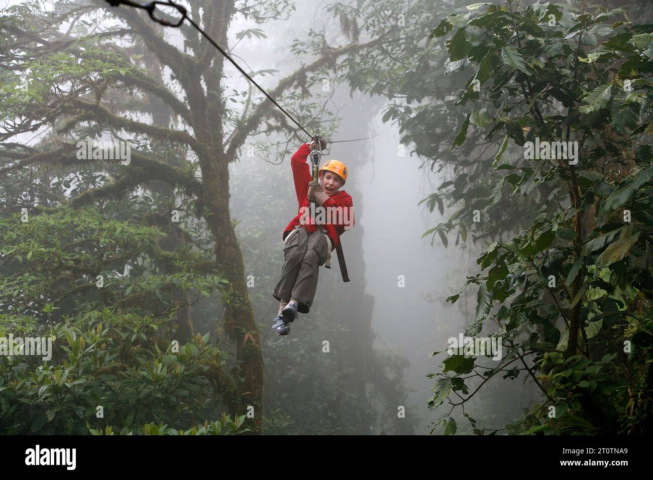 Promenade en câble à canopée à la forêt nuageuse de Monteverde. Costa Rica. Banque D'Images