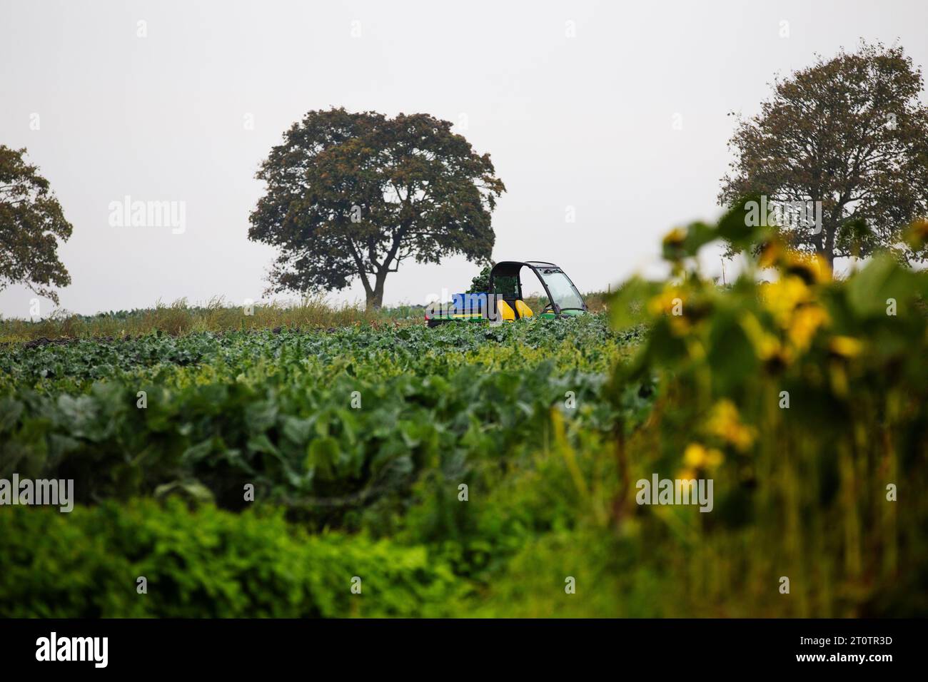 Camion agricole garé à Darts Farm Topsham Devon Banque D'Images