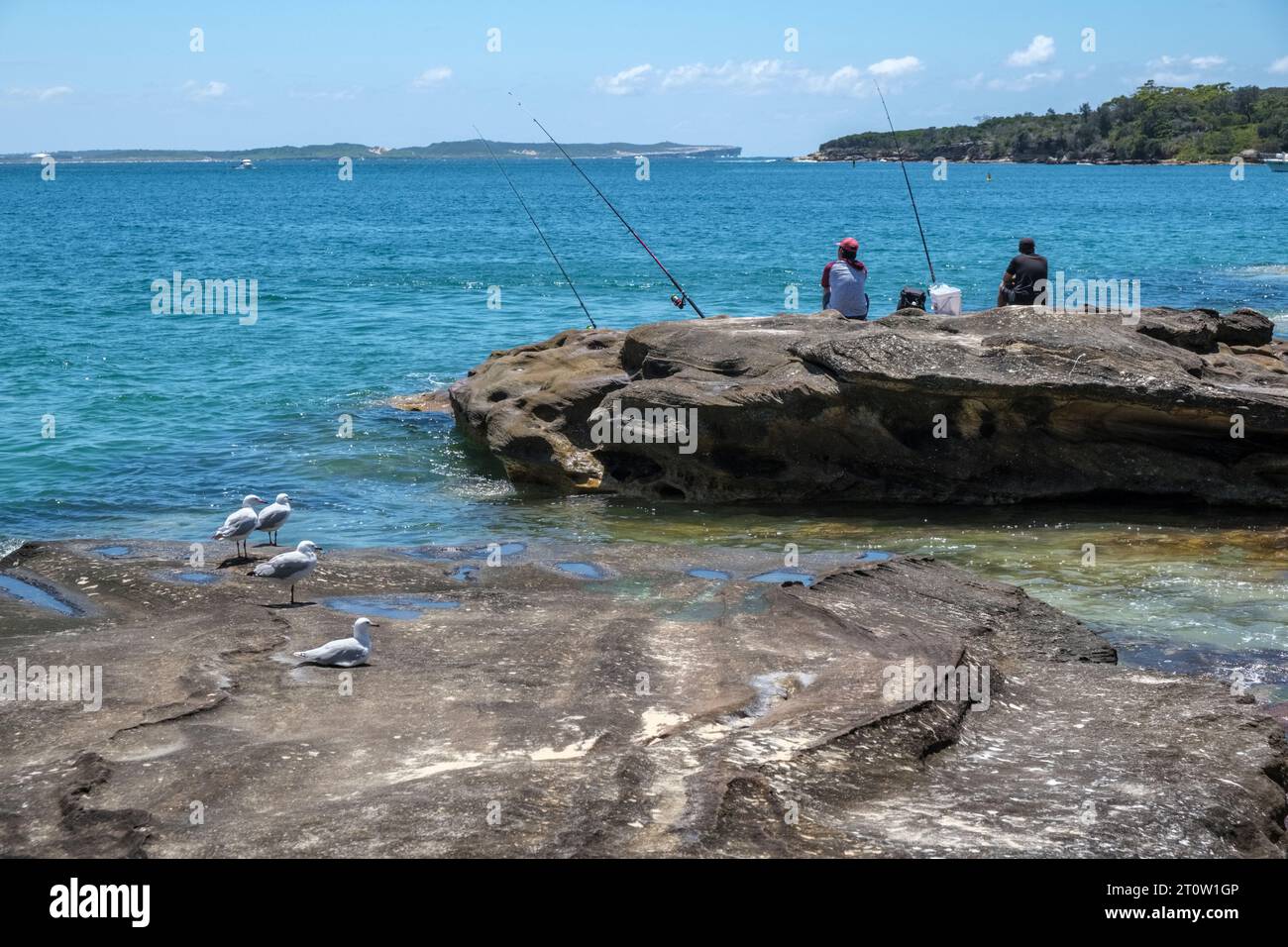 Pêcheurs et mouettes à Jibbon Beach, Bundeena, Royal National Park, Nouvelle-Galles du Sud, Australie Banque D'Images