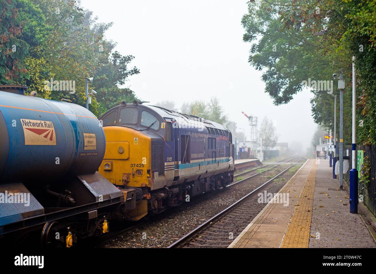 Bob de béton de classe 37425 sur Railhead Treatment train à Poppleton, North Yorkshire, Angleterre Banque D'Images