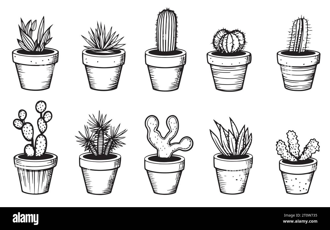 Ensemble de cactus dans des pots esquissent des plantes d'illustration vectorielle dessinées à la main Illustration de Vecteur
