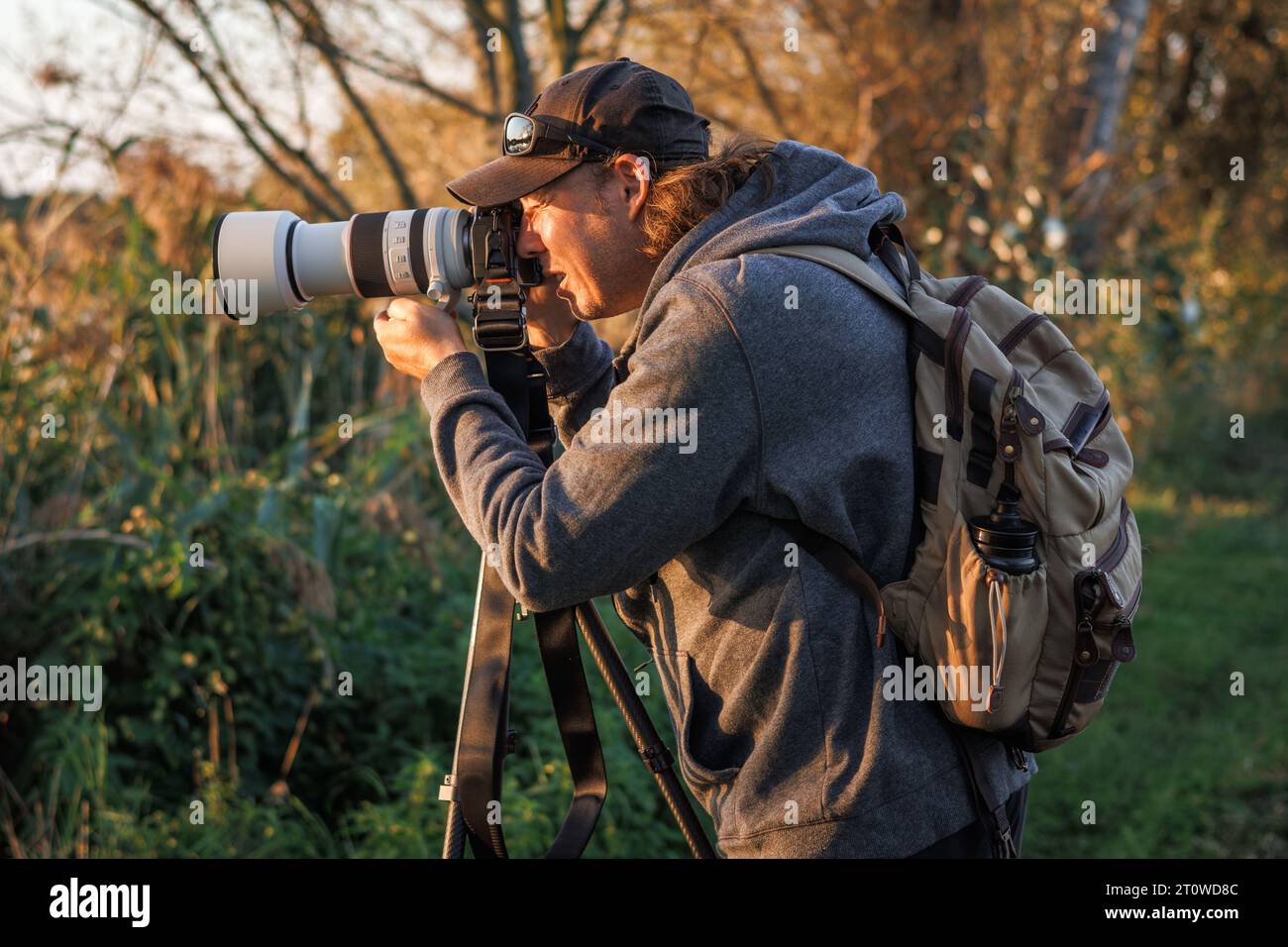 Homme photographe avec appareil photo sur trépied prend la photo de la nature dans la forêt Banque D'Images