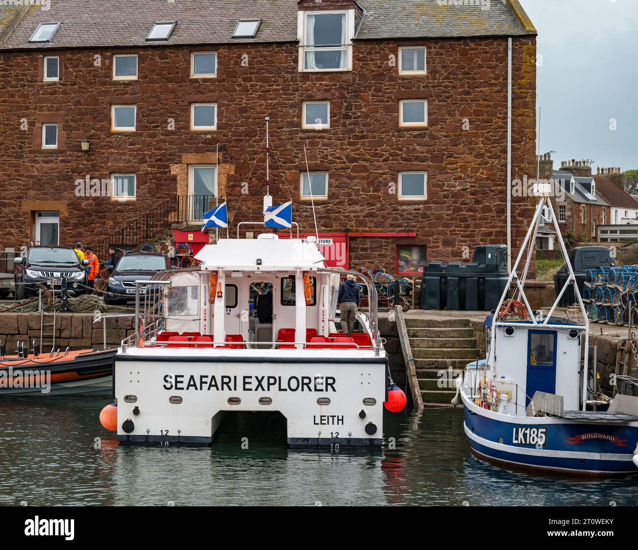 Bateau touristique Seafari amarré dans le port de North Berwick. East Lothian, Écosse, Royaume-Uni Banque D'Images