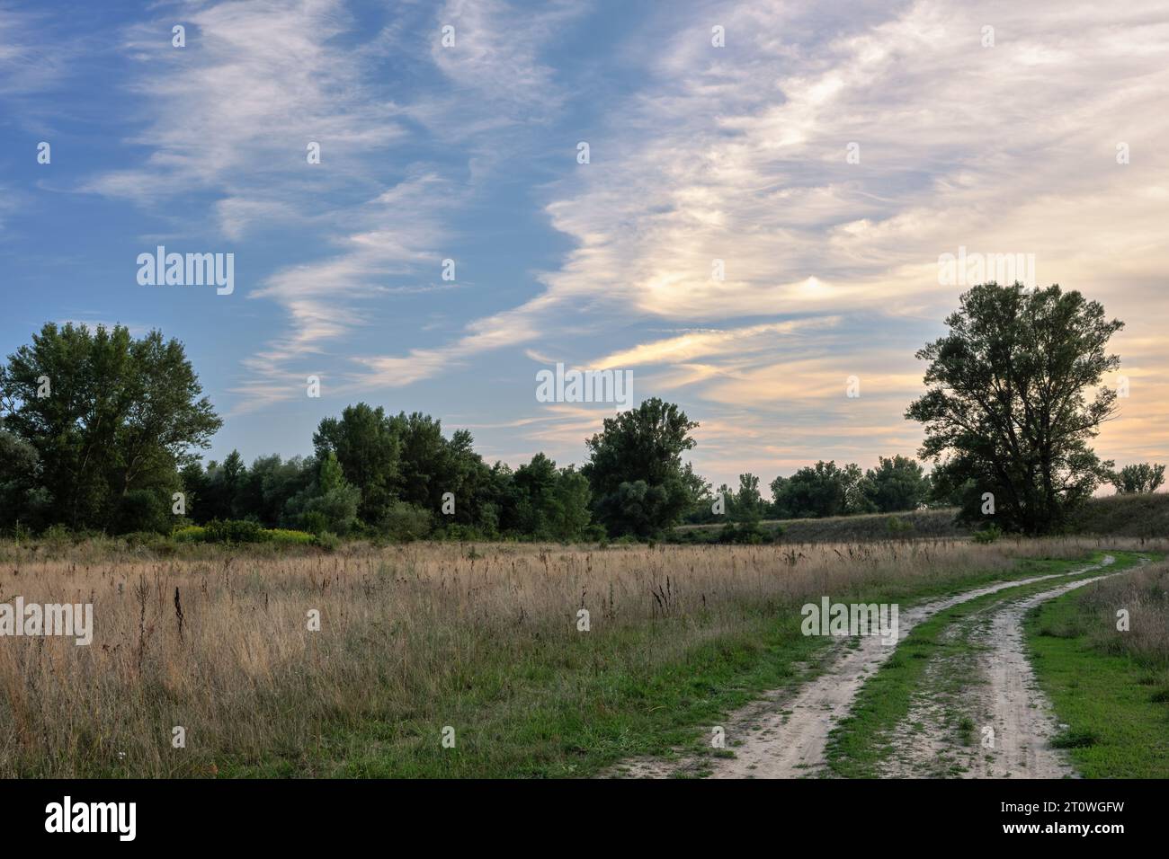 Paysage d'été avec chemin dans l'herbe haute sèche. Menant à la forêt. Beau ciel bleu avec grappe de nuages orange au coucher du soleil. Kostolna, Slovaquie Banque D'Images