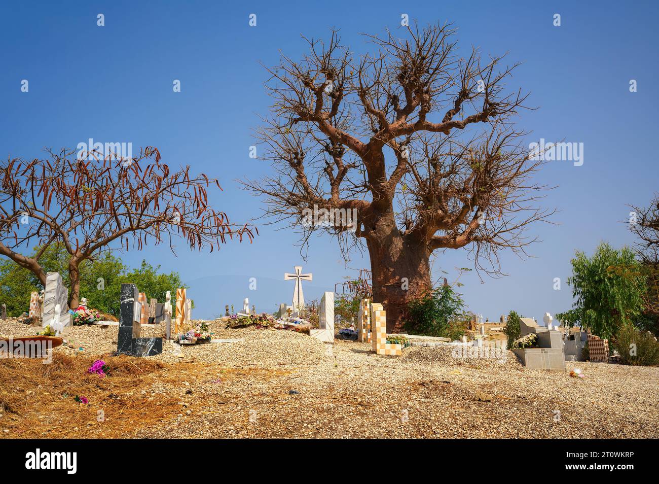 Cimetière de l'île de coquillages de Fadiouth au Sénégal avec un baobab Banque D'Images