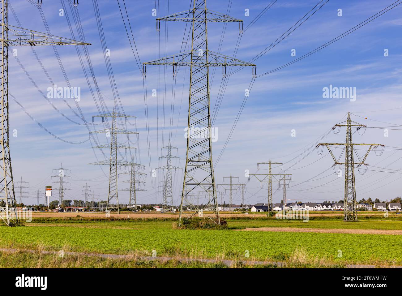 D'innombrables poteaux électriques et lignes électriques dans la nature en face des maisons d'une ville en arrière-plan Banque D'Images