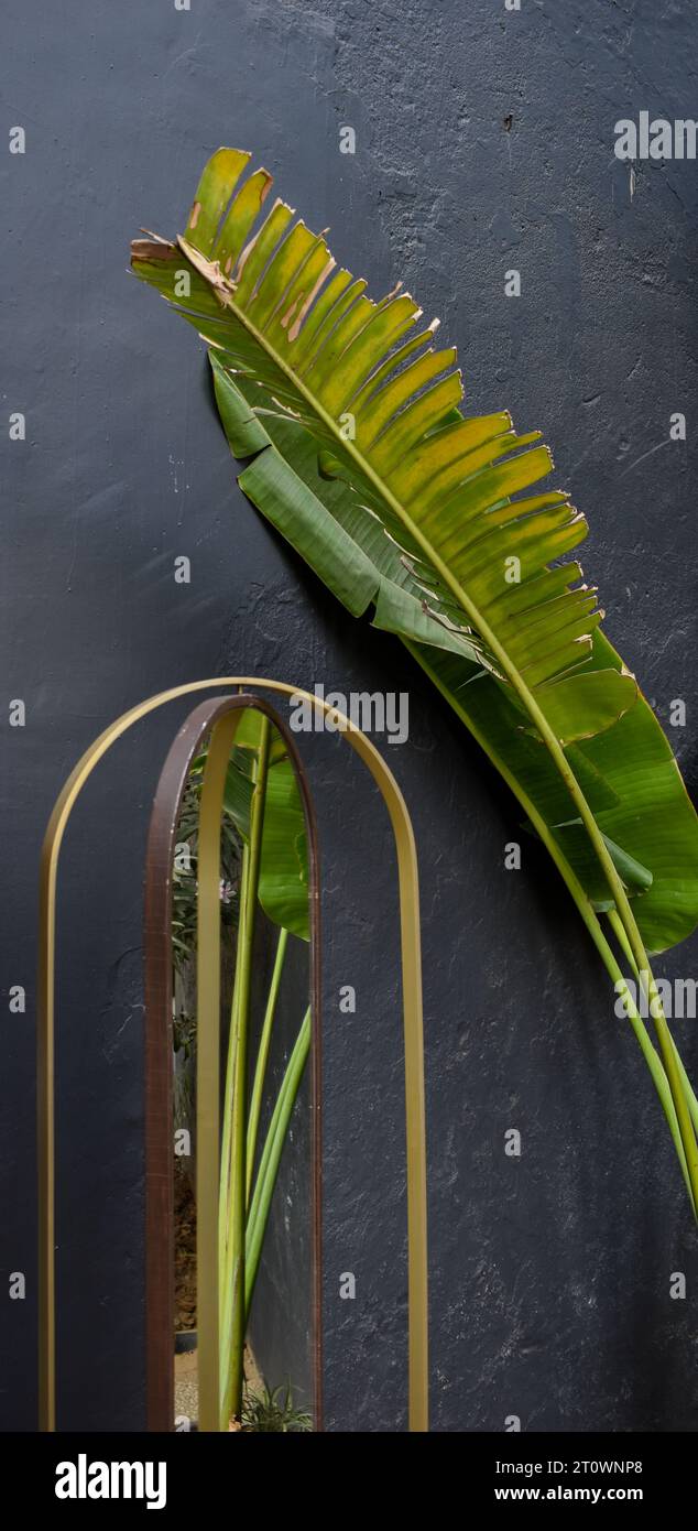 Miroir à cadre métallique élégant reflétant une feuille de bananier sur un fond de charbon de bois Banque D'Images