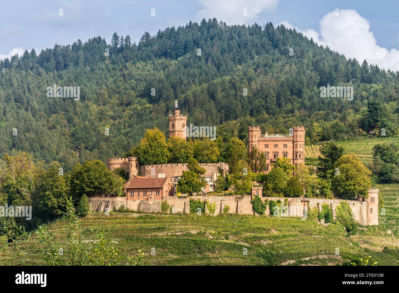 Château d'Ortenberg près d'Offenburg, château historique sur une colline entourée de vignes, Ortenberg, Forêt Noire, Baden-Wuerttemberg, Allemagne Banque D'Images