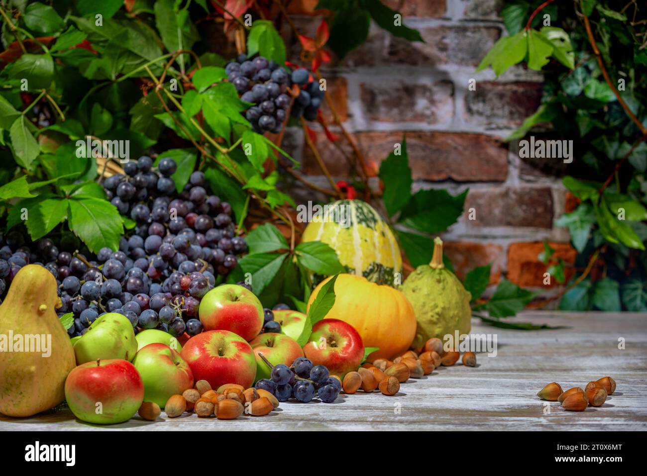 Nature morte d'automne avec raisins de Bourgogne bleu, pommes, citrouilles et noisettes devant un mur de briques avec des feuilles Banque D'Images