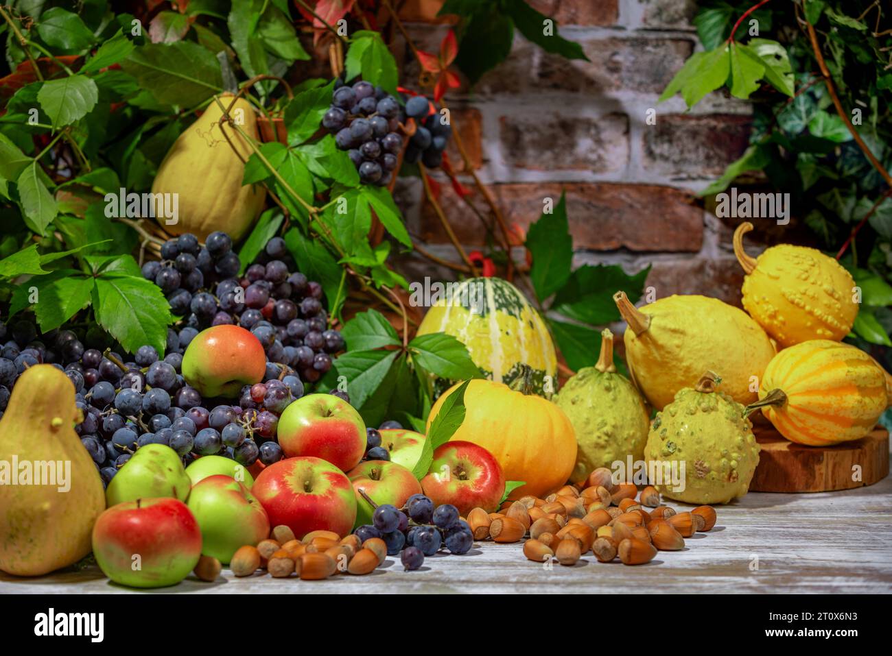 Nature morte d'automne avec raisins de Bourgogne bleu, pommes, citrouilles et noisettes devant un mur de briques avec des feuilles Banque D'Images