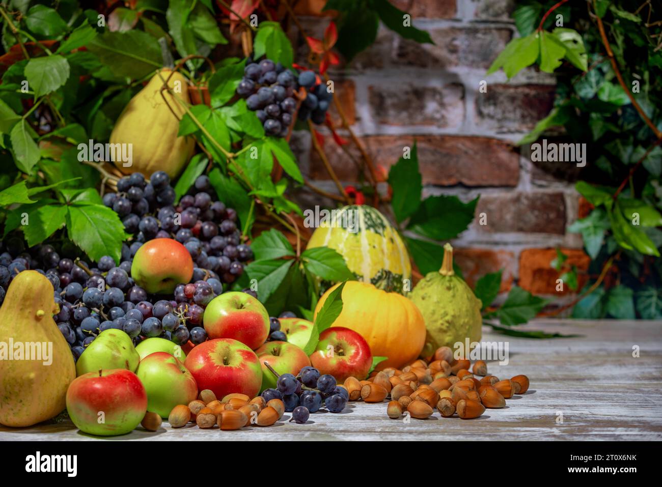 Nature morte d'automne avec raisins de Bourgogne bleu, pommes, citrouilles et noisettes devant un mur de briques avec des feuilles Banque D'Images
