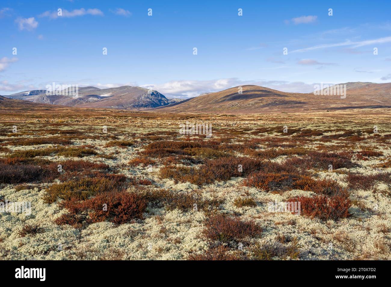 Paysage d'automne dans le parc national de Dovrefjell-Sunndalsfjella, Hjerkinn, Norvège Banque D'Images