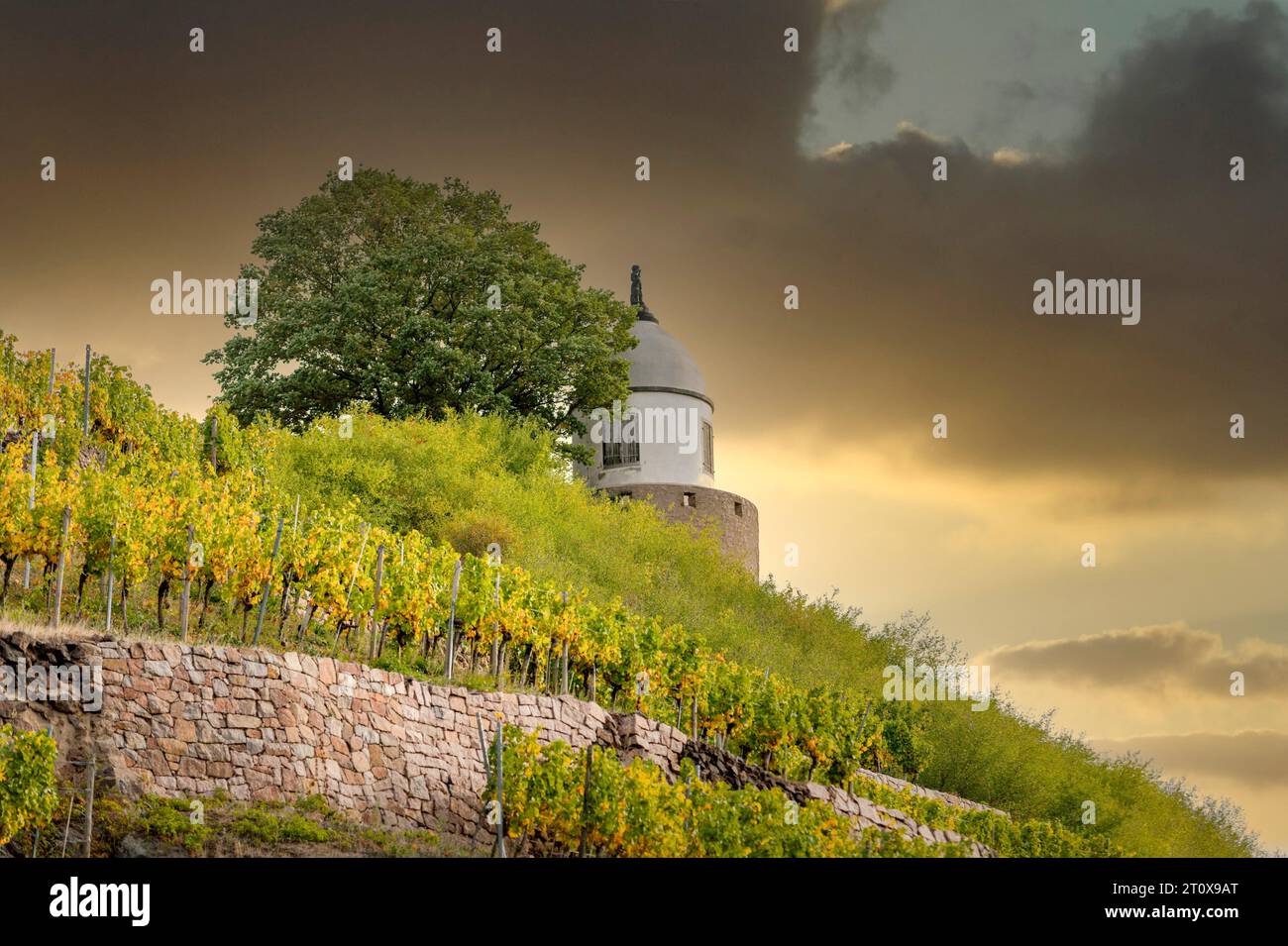 Le Jakobsturm, un pavillon de vignoble et un point de vue sur les vignobles du château de Wackerbarth, Radebeul, Saxe, Allemagne Banque D'Images