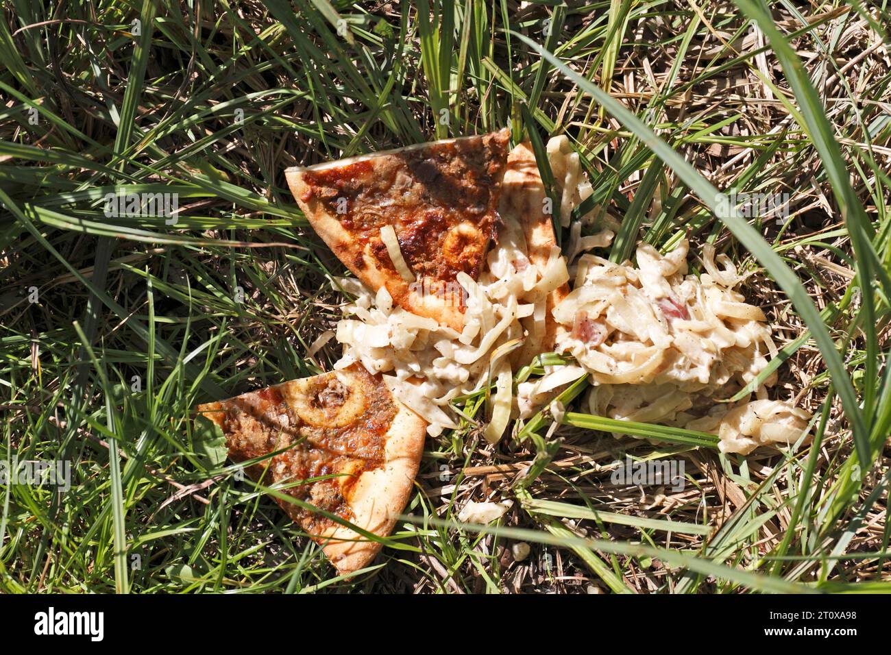 Nourriture pour ratons laveurs, alimentation interdite des animaux sauvages, restes de pizza sur un lieu de pêche, restes de nourriture dans la nature, parc naturel Flusslandschaft Peenetal Banque D'Images