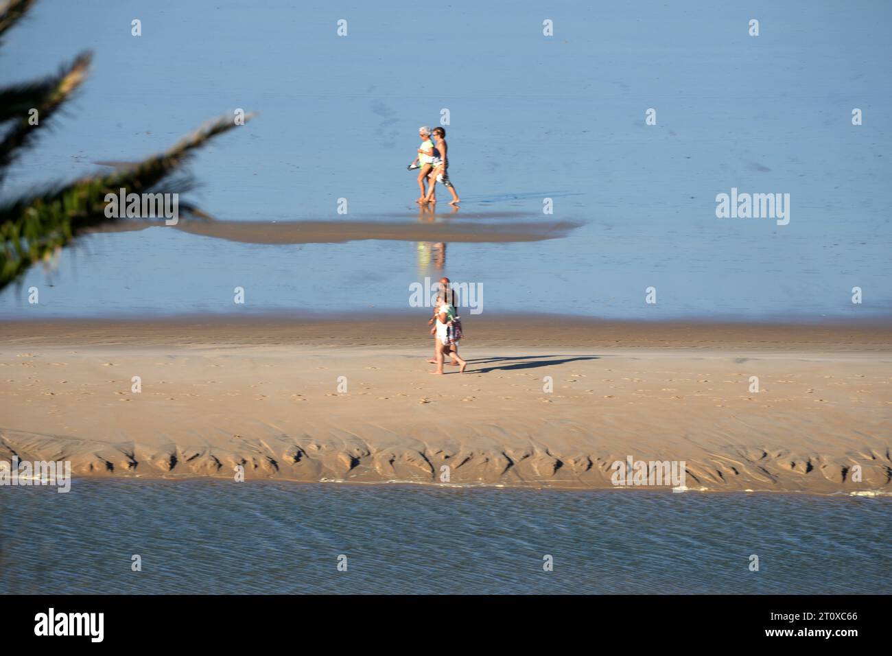 Spanien Spanien, 202301001, Badestrand in Conil *** Spain, Spain. , . Plage de baignade à Conil crédit : Imago/Alamy Live News Banque D'Images