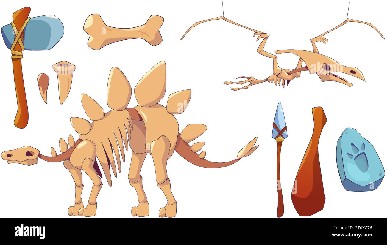 Icône de squelette de dinosaure et ensemble de fossiles pour l'illustration vectorielle de musée d'histoire. Pierre d'archéologie et clipart d'os de stegosaurus pour la décoration intérieure ancienne du jurassique. Ptérodactyle éteint de la préhistoire Illustration de Vecteur