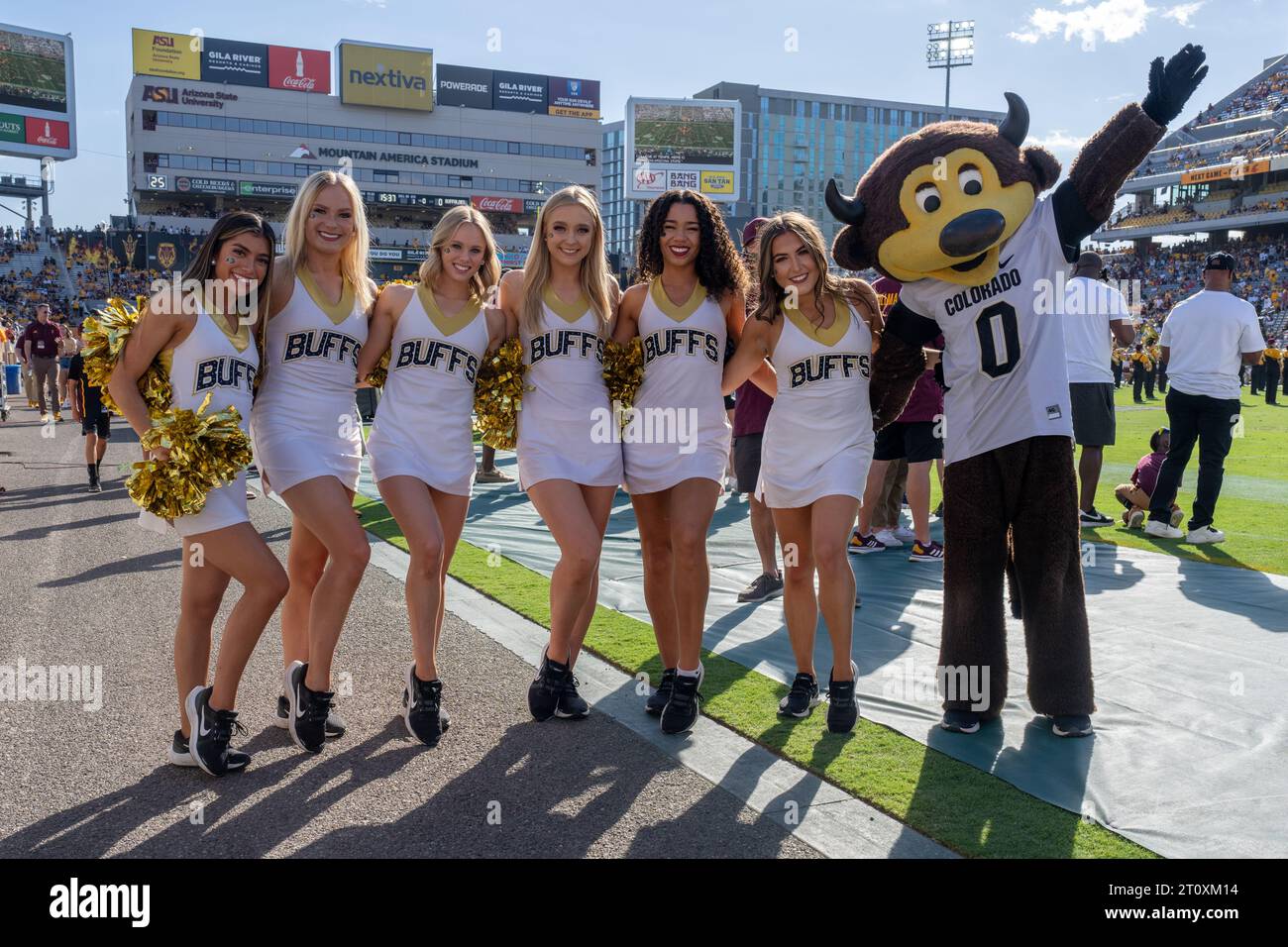 Colorado Buffaloes cheerleaders et mascotte lors d'un match de football de la NCAA contre les Arizona State Sun Devils, samedi 7 octobre 2023, à Tempe, Arizona. Colorado a battu Arizona State 27-24 (Marcus Wilkins/image of Sport) Banque D'Images