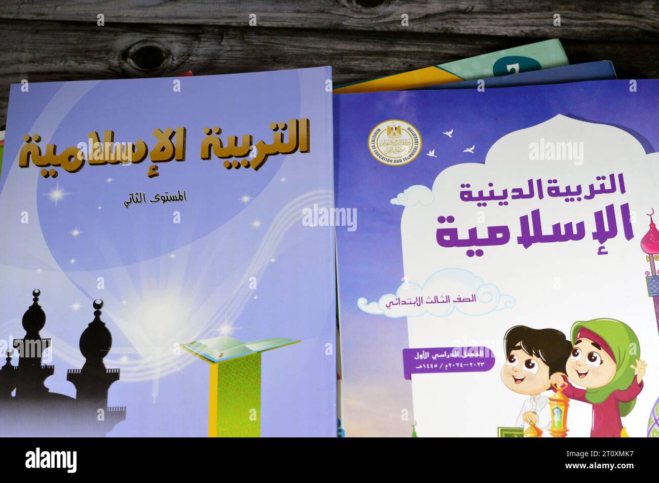 Le Caire, Egypte, septembre 28 2023 : Collection de divers manuels, livres éducatifs utilisés par les écoliers égyptiens, apprentissage, enseignement, éducation Banque D'Images