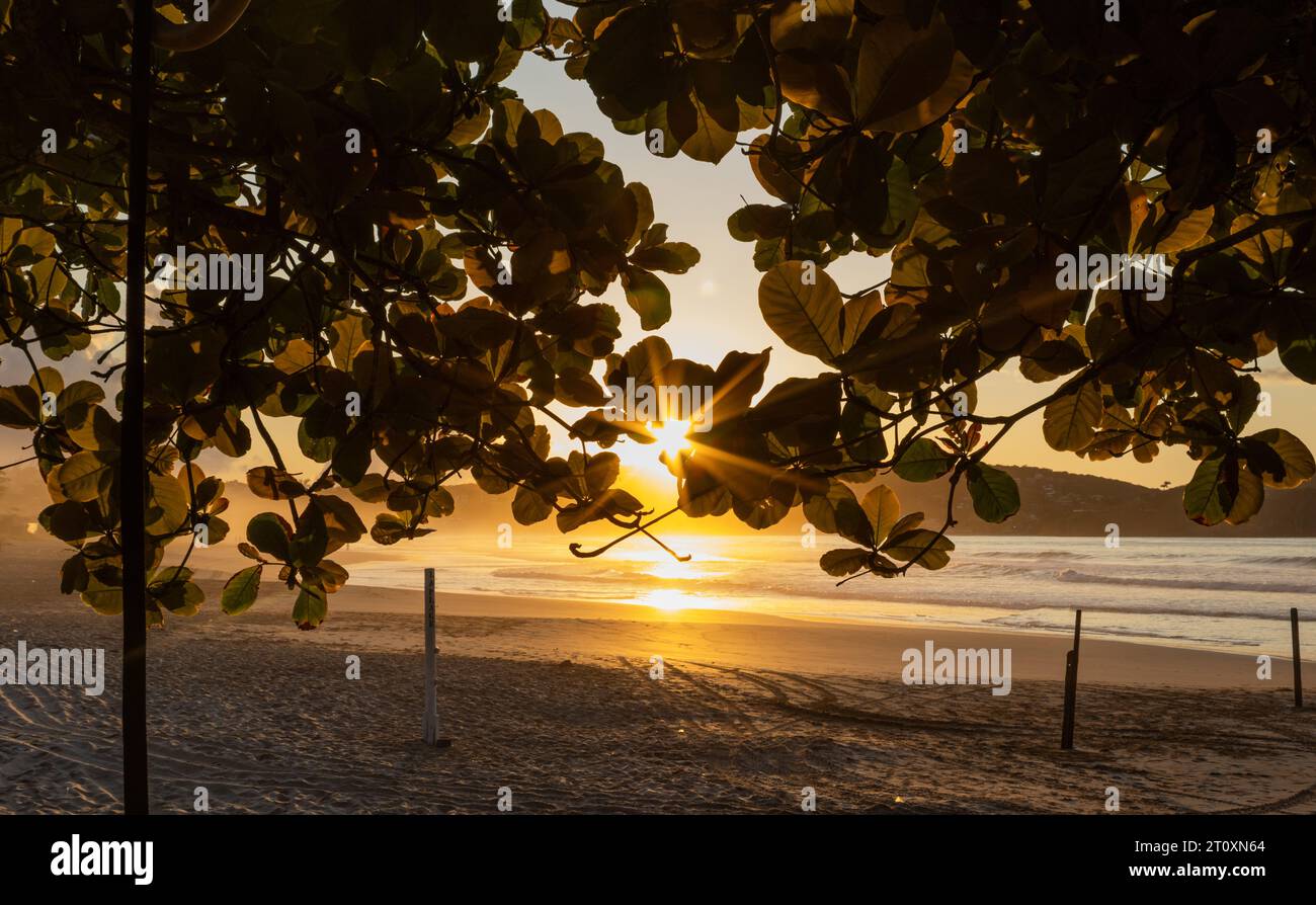 Soleil levant sur l'amandier près de la plage, vue majestueuse sur la plage de Geriba, Buzios, Brésil. Banque D'Images