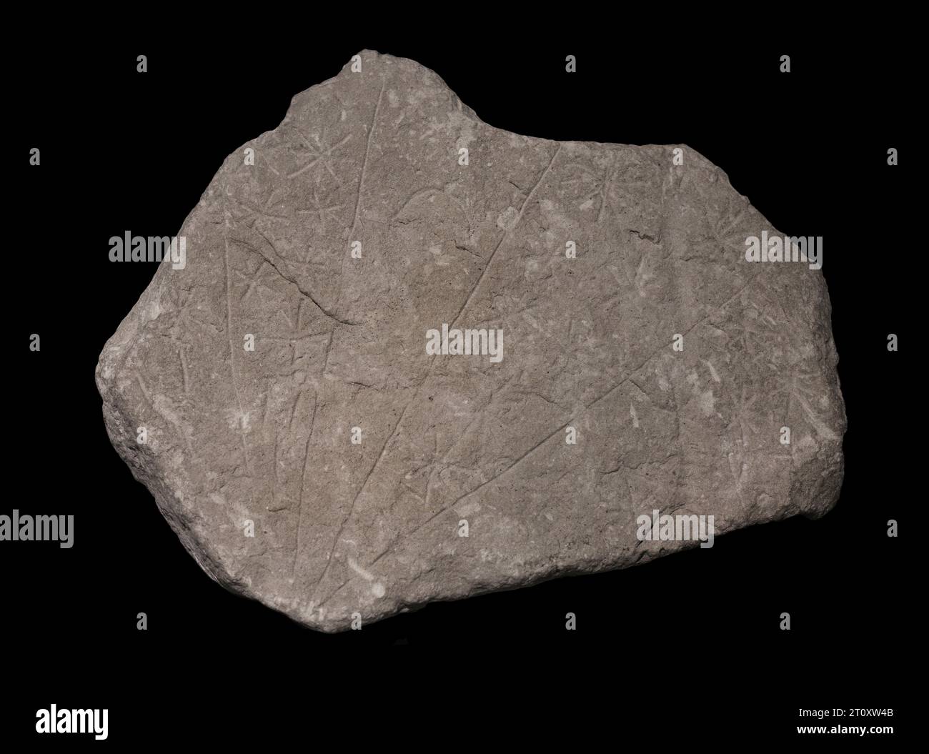 Préhistoire. Période du temple (4000 à 2500 av. J.-C.). Malte. Dalle de calcaire brisée lobigerina qui montre cinq sections séparées par des lignes incisées. Quatre d'entre eux sont des incisions en forme d'étoile, tandis que la centrale a une incision semi-circulaire qui pourrait représenter la lune. De Tal-Qadi. Musée national d'archéologie. Valletta. Malte. Banque D'Images