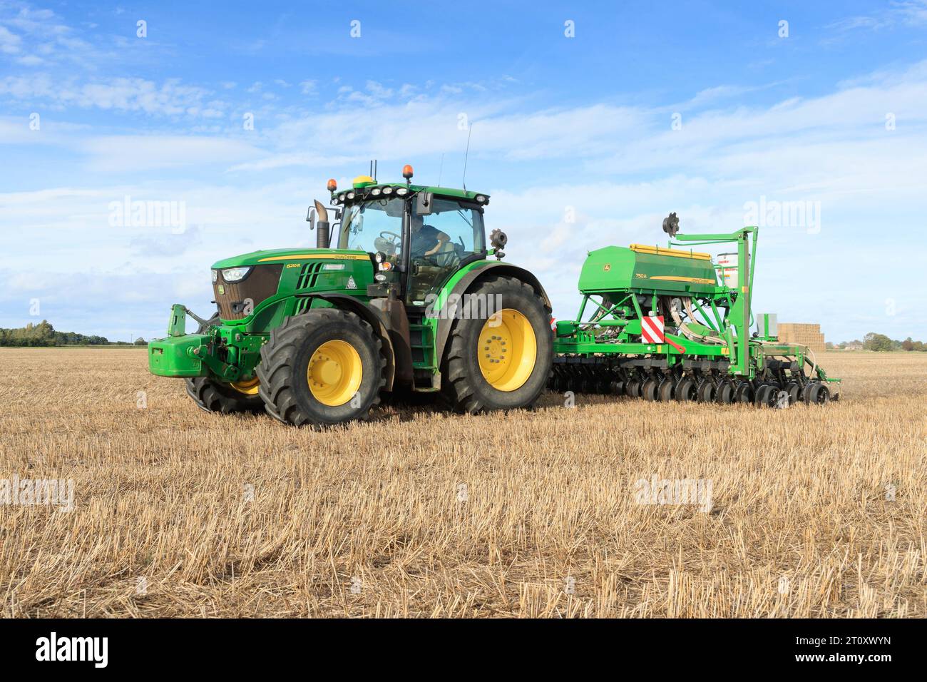 6 octobre 2023 forage direct blé d'hiver dans le Lincolnshire Banque D'Images