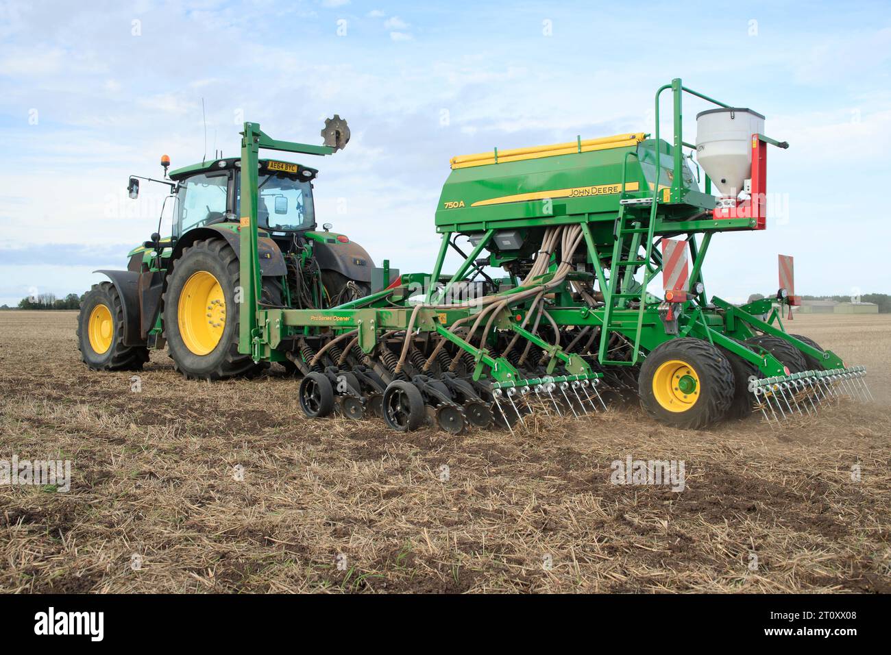 6 octobre 2023 forage direct blé d'hiver dans le Lincolnshire Banque D'Images