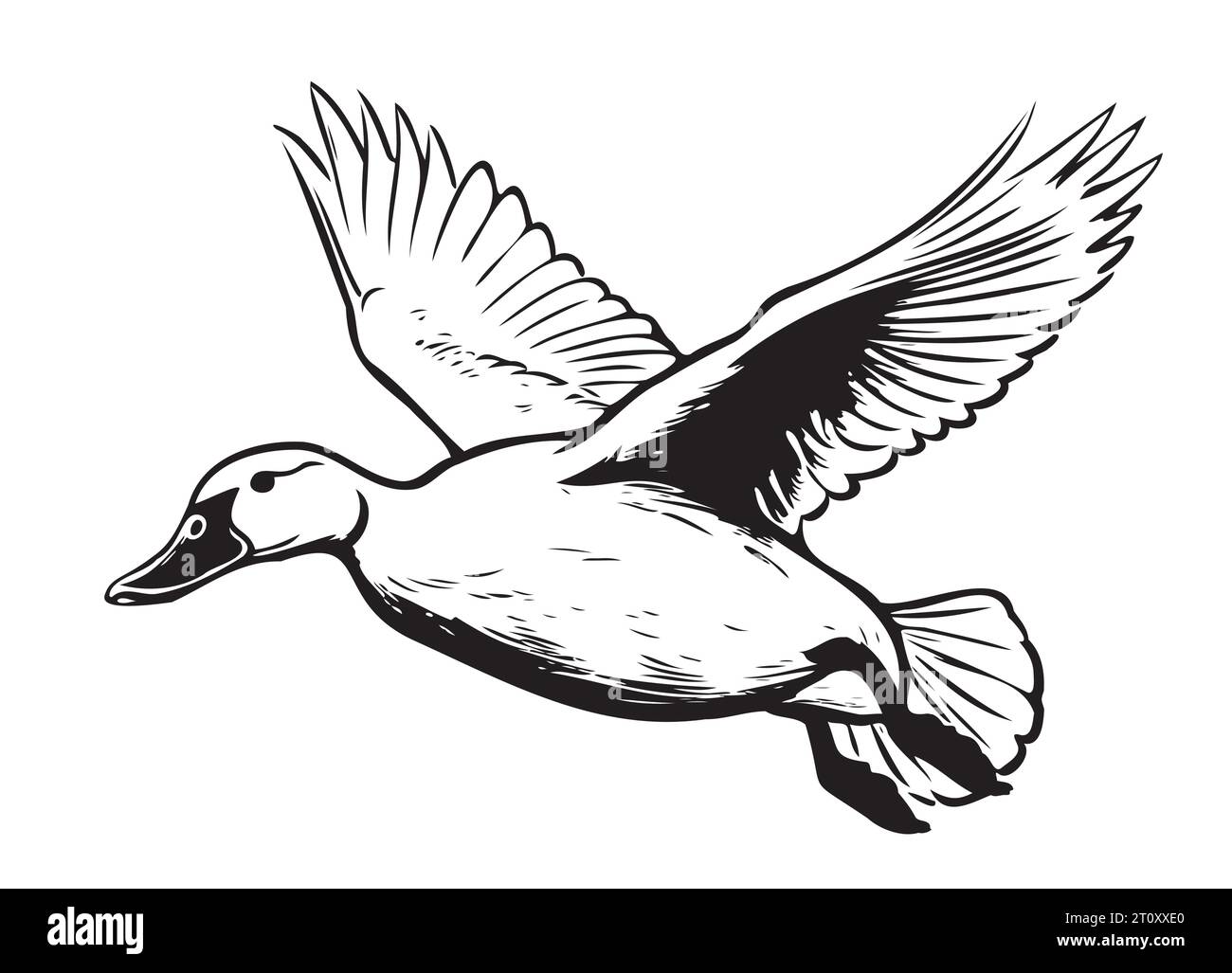 Croquis volant de canard dessiné à la main Vector Birds chasse Illustration de Vecteur