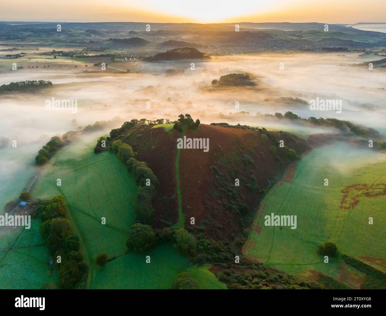 Vue aérienne d'un lever de soleil d'automne brumeux à Colmers Hill à Symondsbury près de Bridport dans le Dorset, Royaume-Uni. Banque D'Images